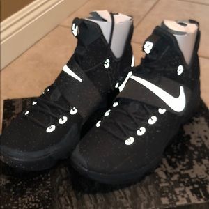 Brand new Lebron XIV lMTD